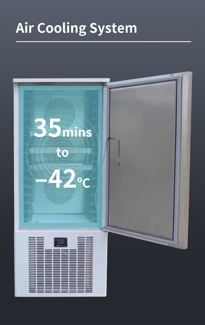 Máy làm lạnh tủ đông R404A 5 khay làm mát bằng không khí Tủ đông lạnh công nghiệp 6